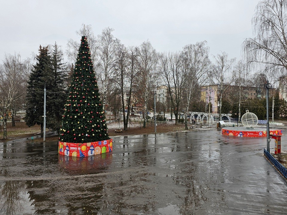 Какая погода ждет жителей Подмосковья в предстоящие выходные — 20 и 21 декабря