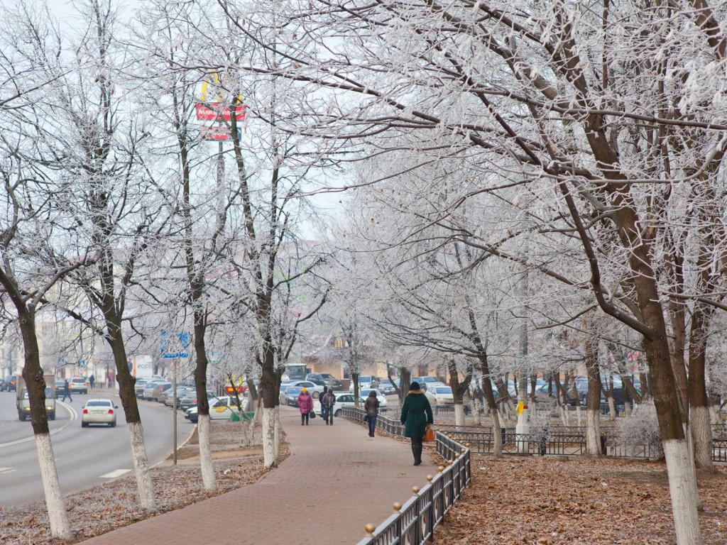 О морозах и снеге стоит забыть: Синоптики дали прогноз на первую неделю декабря в Подмосковье