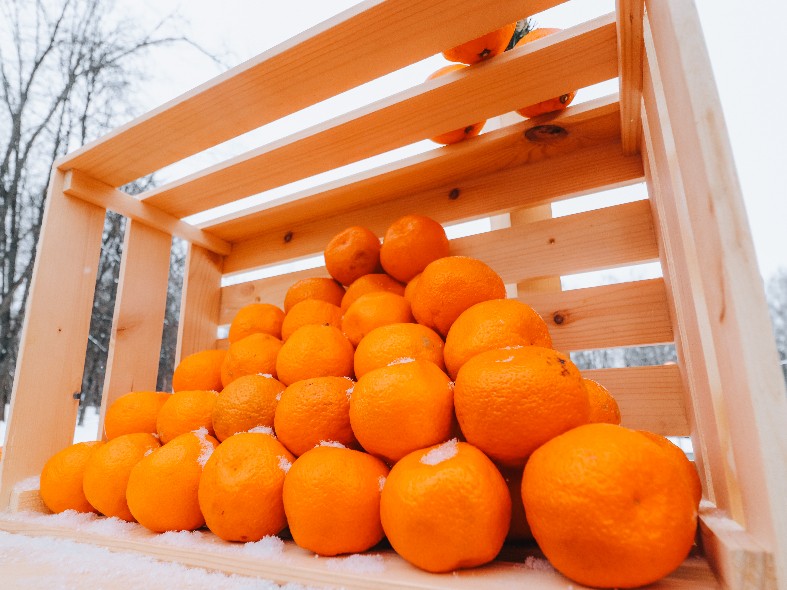 Эти мандарины разлетаются быстрее новогодних гирлянд: какие сорта лучше взять прямо сейчас в Подмосковье