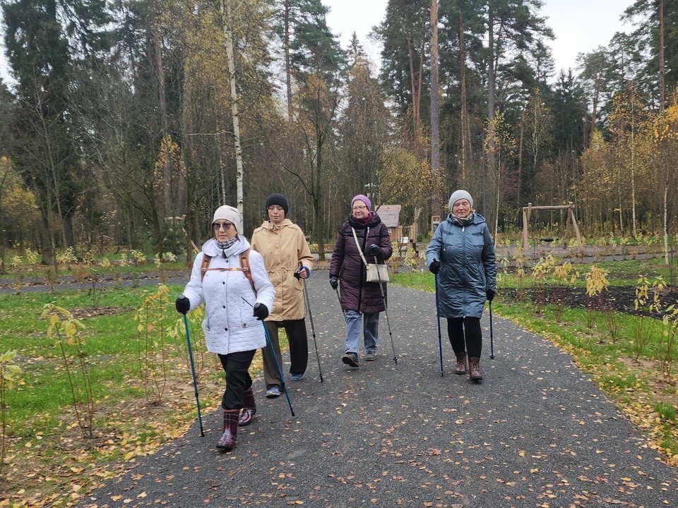 Мастер-класс по скандинавской ходьбе дадут 9 декабря в парке «Бронницкий луг»
