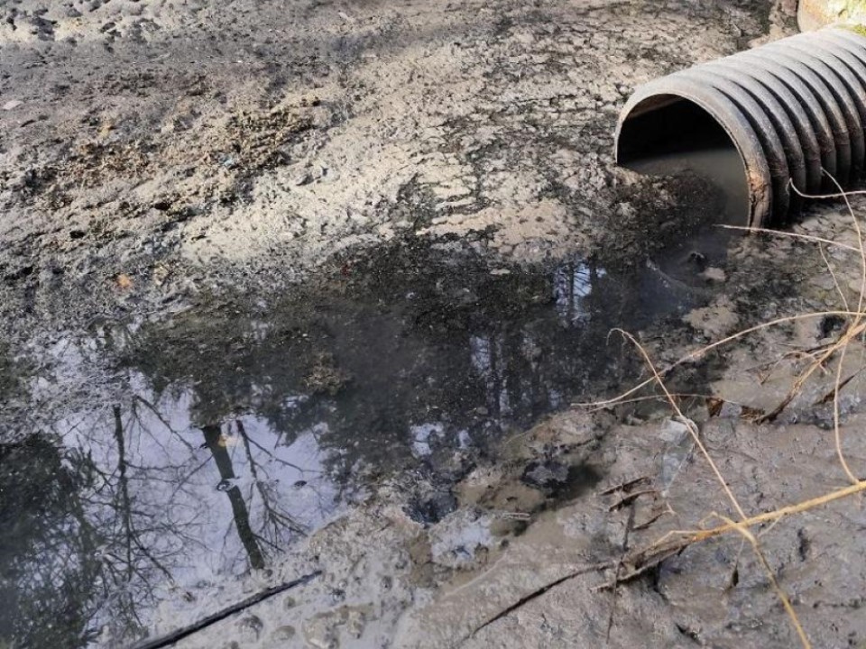 Сточные воды на вольных хлебах: Минэкологии нашло неоформленный сброс под Видным