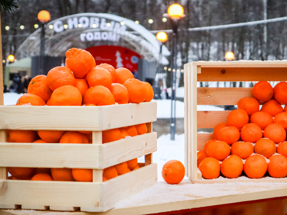 Вручение премий, дискотека и концерт: что ждет можайцев 27 декабря в парке