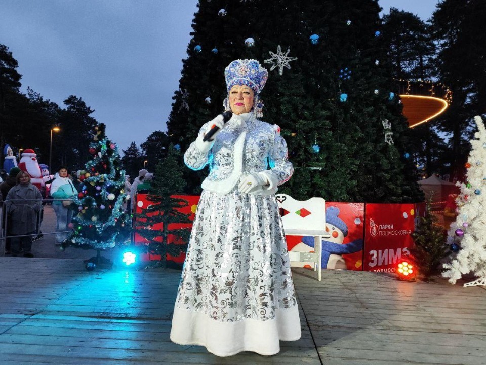 Герои из Простоквашина и зажжение огней: открытие главной елки в Озерах собрало 1,2 тыс. человек