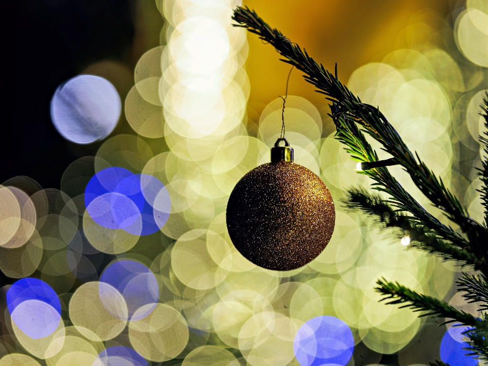 Лисавета из Малой Истры переоделась в Снегурочку и обзавелась конем