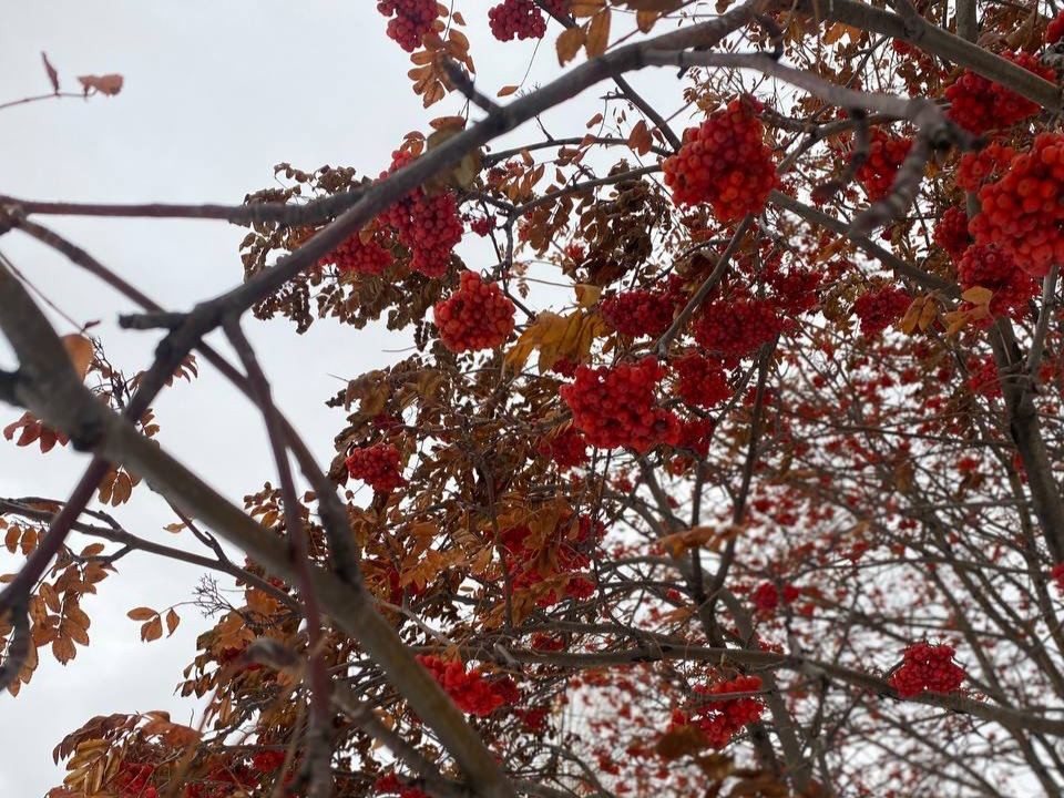 Погода как в ноябре: синоптик ответил, будут ли минусовые температуры в столичном регионе на следующей неделе