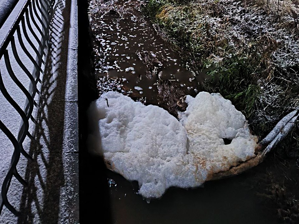 На реке Саминка в Одинцове увидели «большого плюшевого медведя»