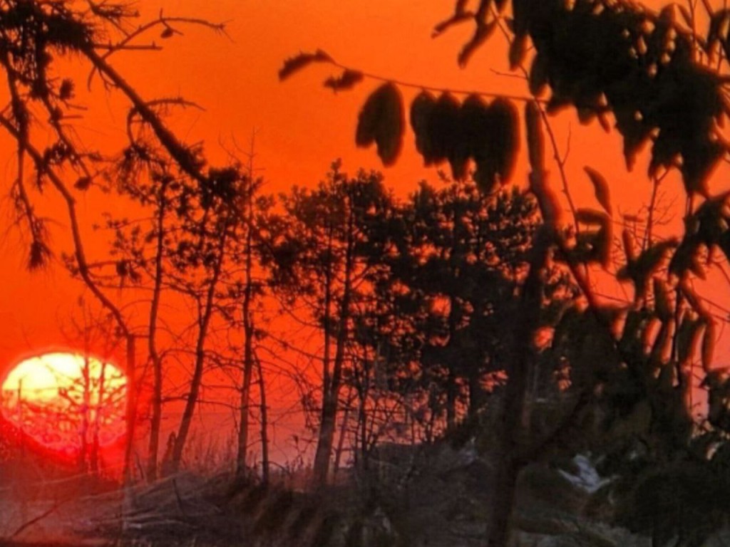 Гороскоп на 26 декабря 2025 для всех знаков Зодиака: Овнам, Ракам и Скорпионам лучше сохранять нейтралитет, а Ракам, Девам и Козерогам снова «улыбнется» фортуна