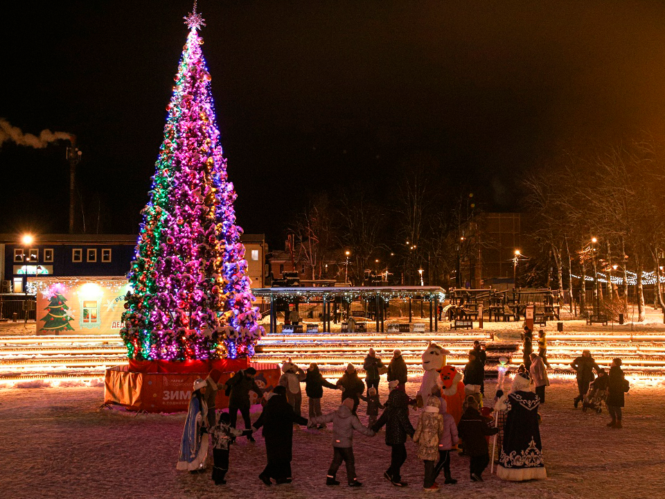 Новогодние праздники в Зарайском парке: расписание со 2 по 4 января
