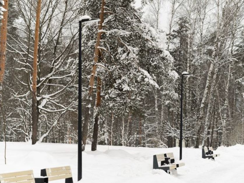 Метели и стужа? Синоптик Леус назвал дату прихода настоящей зимы в Подмосковье