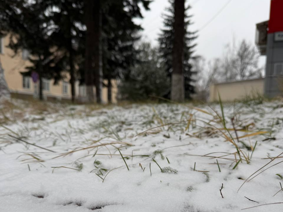 Праздник отменяется? Синоптик Вильфанд объяснил причины тепла и бесснежья в Подмосковье