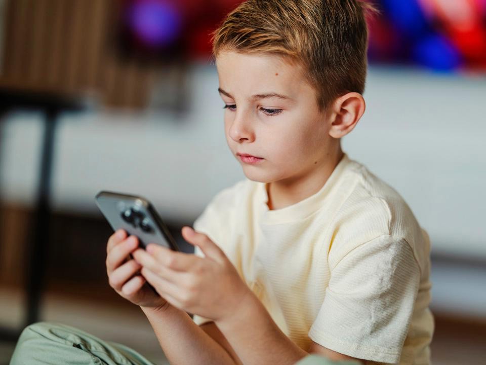 За что могут заблокировать сайт, как защитить детей и русский язык