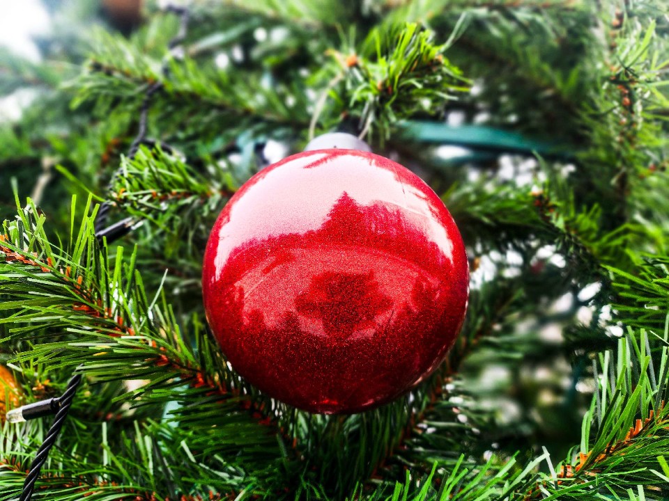 Новогоднее чудо в Солнечногорске: пятиметровую елку установили на Ухова