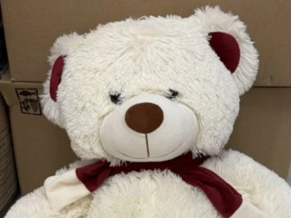 Приуныл: белый медведь в Егорьевске разочаровался в зиме