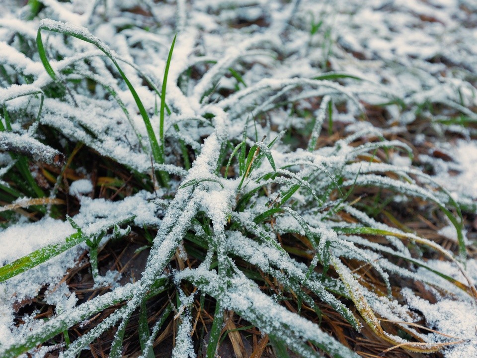 Москва погружается в «погоду одним цветом»: синоптик объяснил будет ли снег