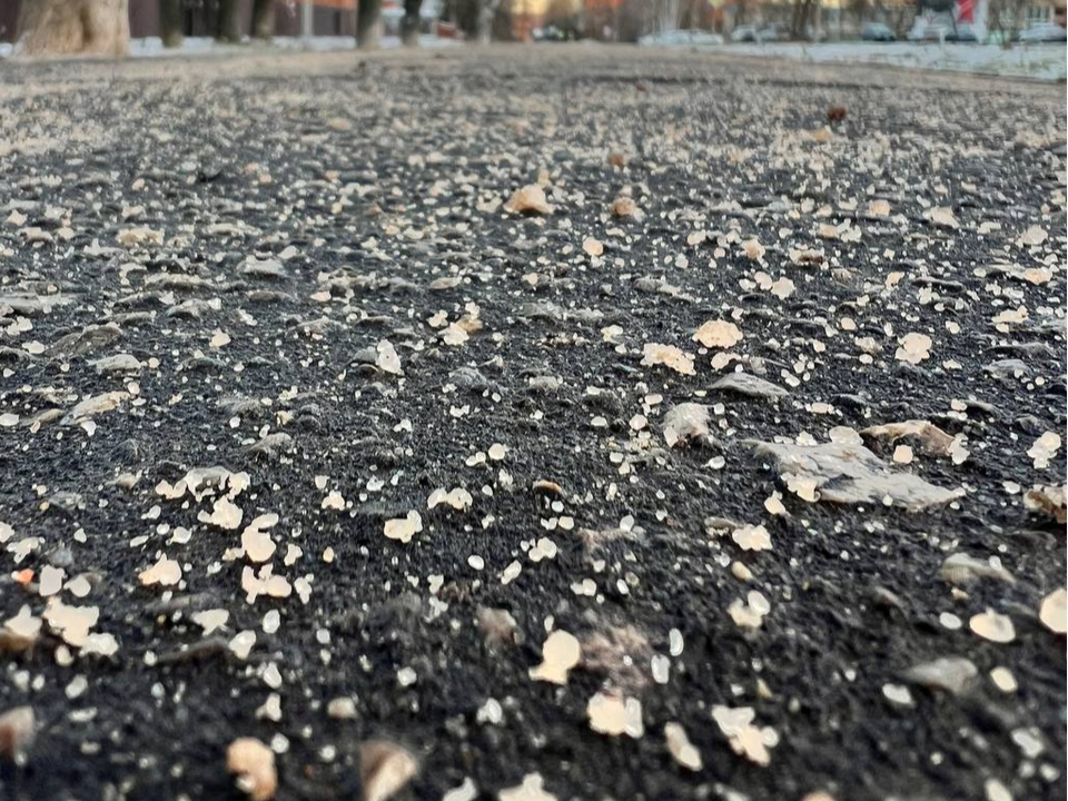 Городским службам укажут на избыточное применение реагента на тротуарах