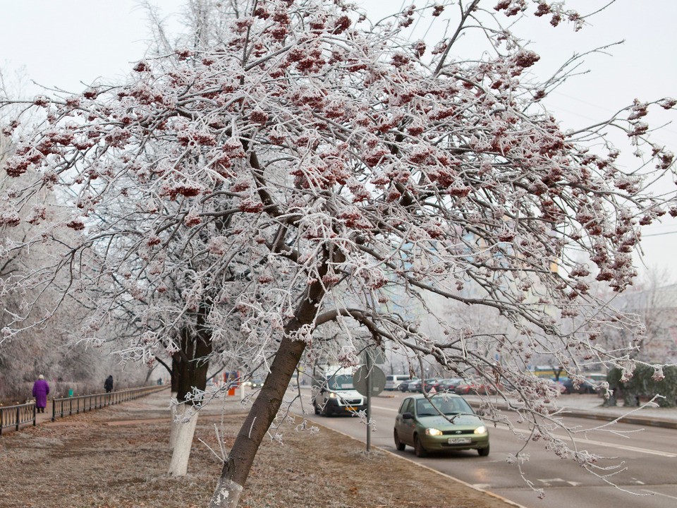 Зима будет недолгой: синоптики спрогнозировали скорое потепление в Подмосковье