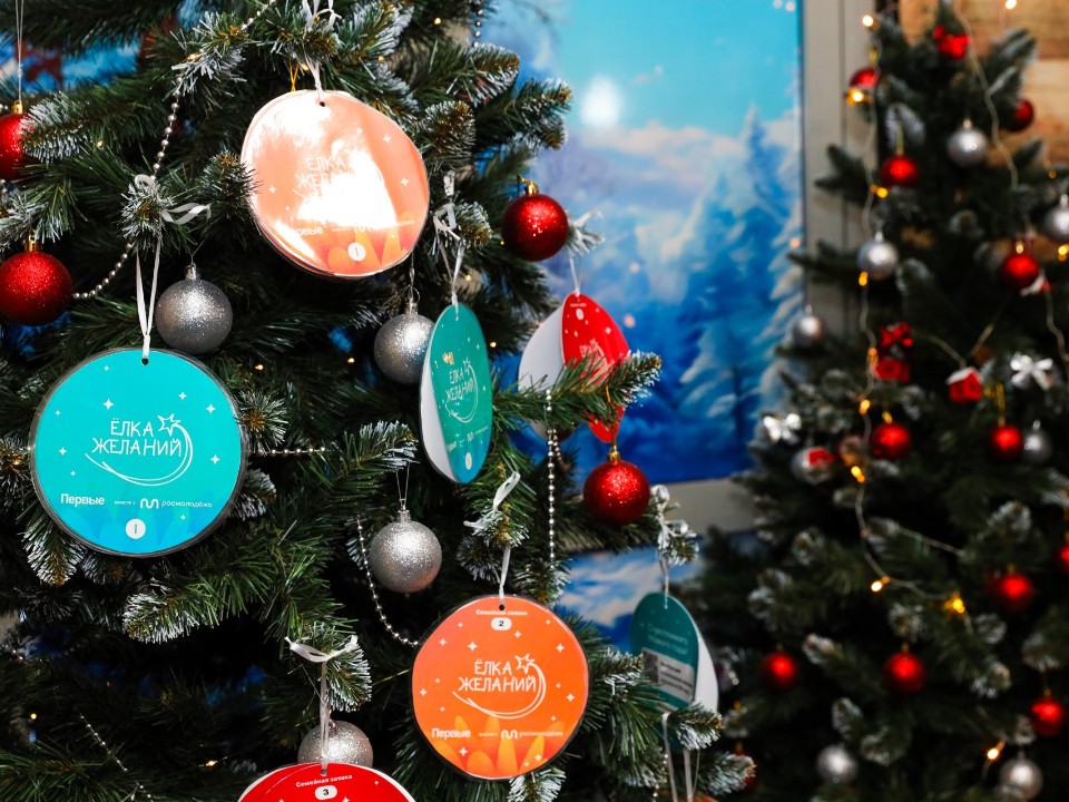 «Мы обязательно это желание выполним»: в Раменском исполнили мечту девочки к Новому году