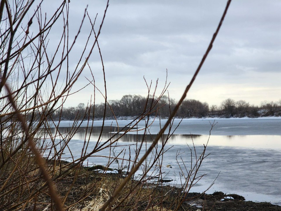 Жители сделали выбор: в 2026 году в Подольске очистят пруд в поселке МИС