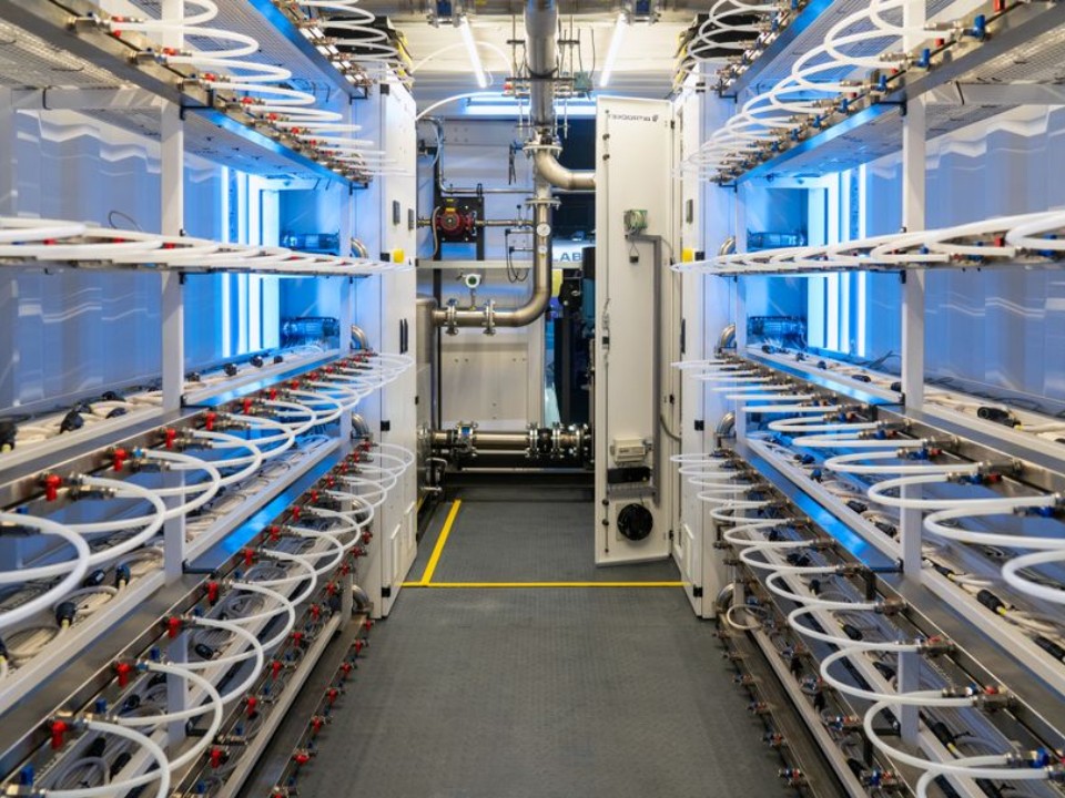 Электричество почти даром? Где выгоднее всего добывать криптовалюту