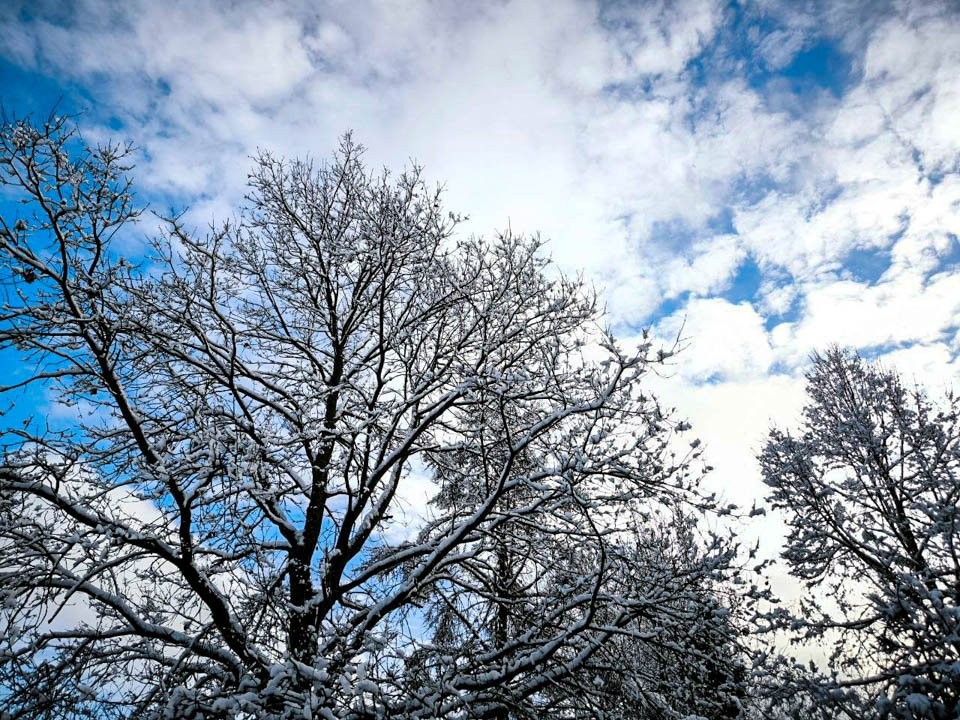 Воздух леденеет: эта ночь в Подмосковье может стать самой холодной