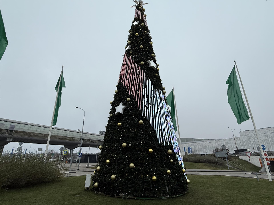 Котельниковцев ждут на праздник: где найти главную елку, купол из гирлянд и конверт для желаний