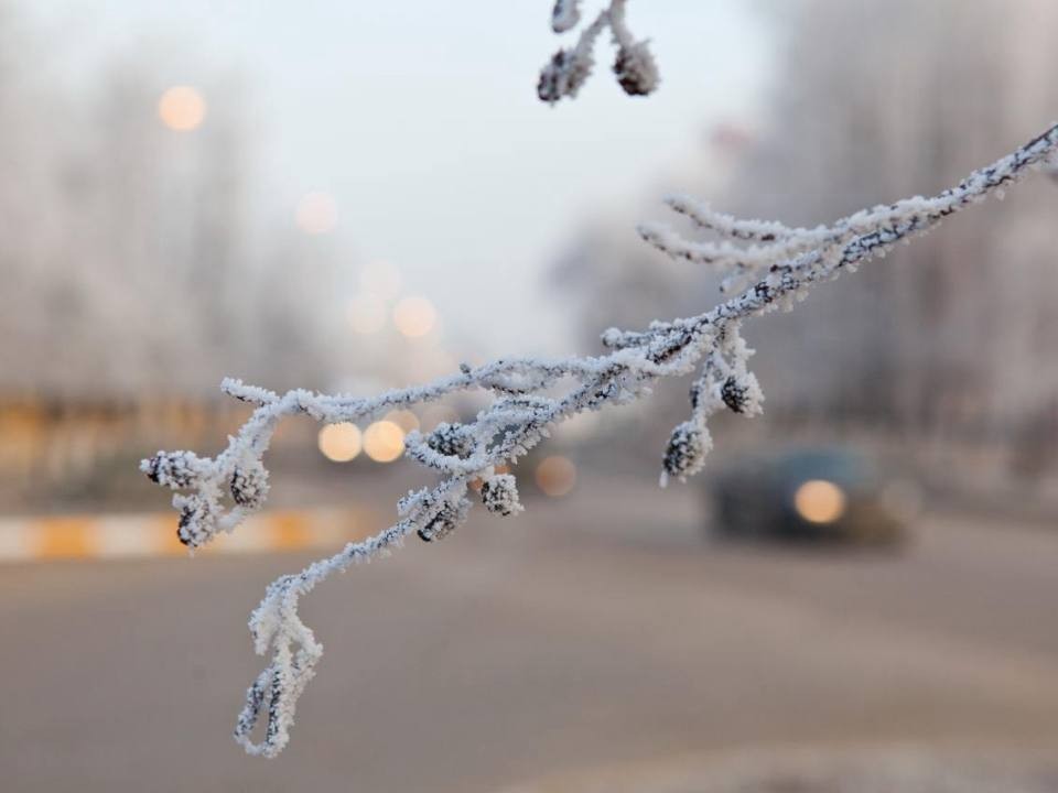 Перепады температуры и высокое давление придут в Подмосковье 4 декабря
