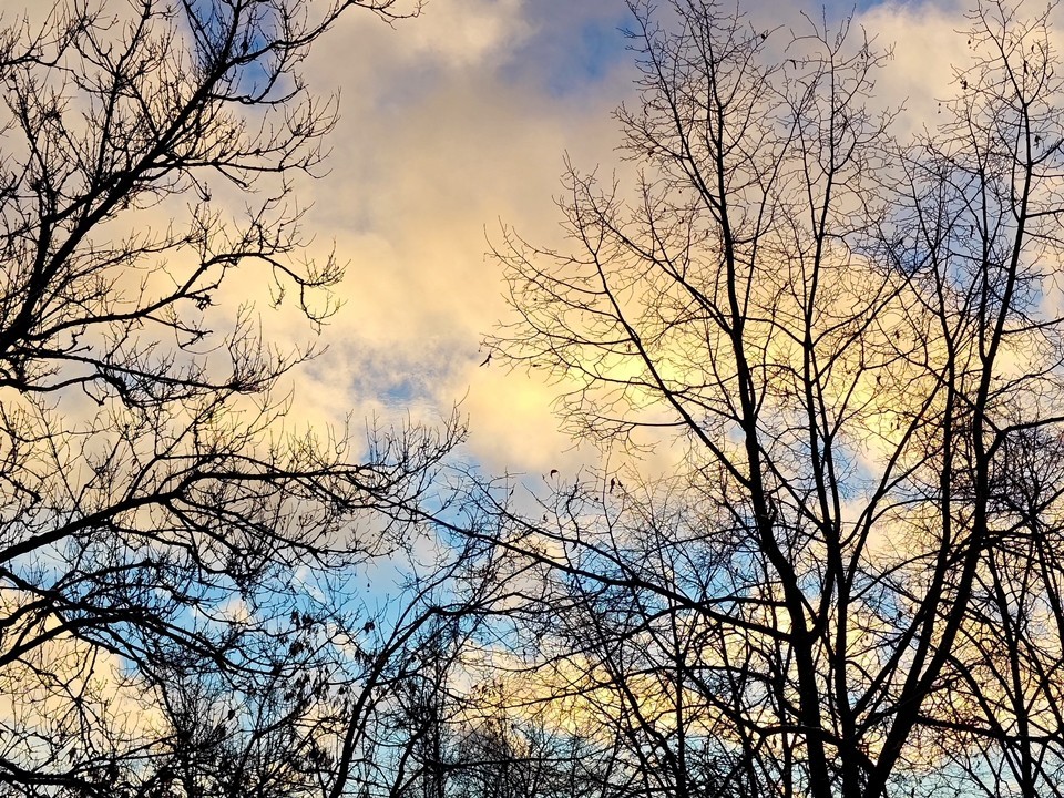 Гололедица и снег: похолодание до -4 пришло в Подмосковье 9 декабря 2025 года