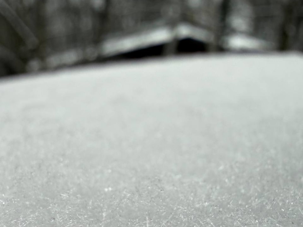 Сидим дома? Синоптики обещают в Подмосковье до 4 см снега, метель и гололед к субботе