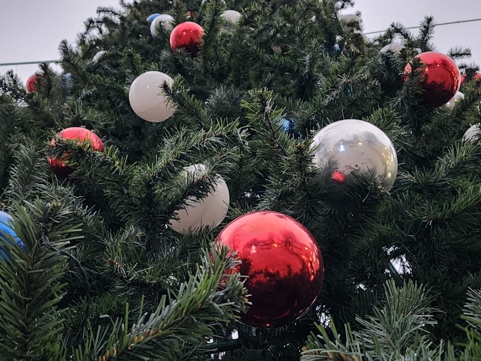 Где в Мытищах бесплатно провести новогоднюю фотосессию