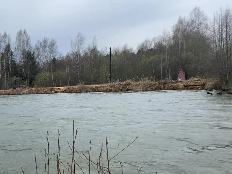 Рыбхоз не в своей стихии: экологи и прокуратура сошлись в битве за реку Осенка