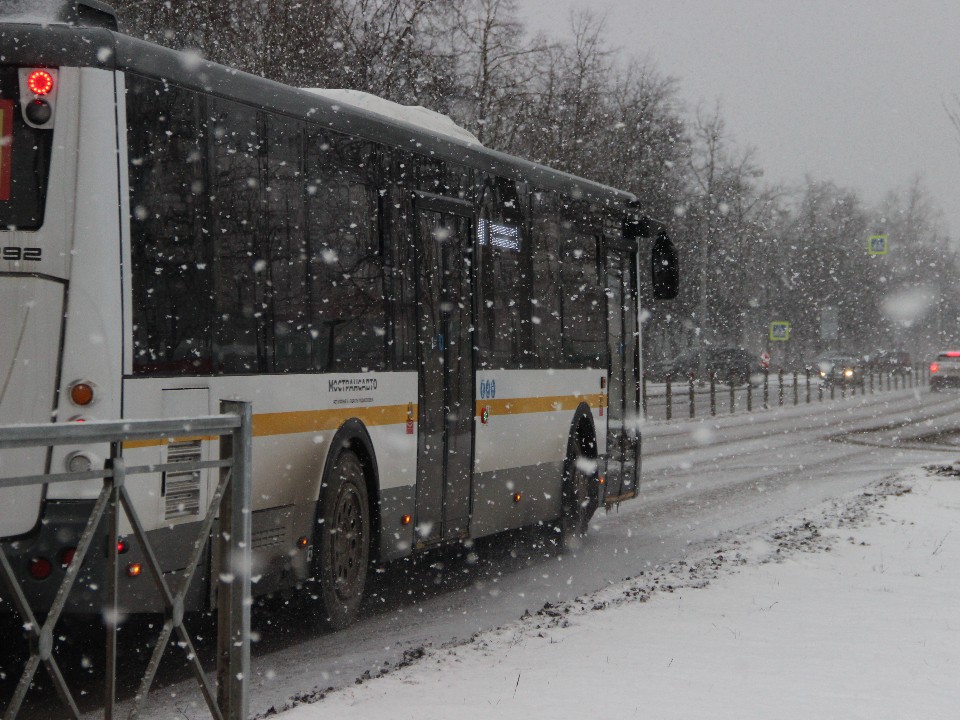 Автобусы в Рузе в новогоднюю ночь будут курсировать до 2:00
