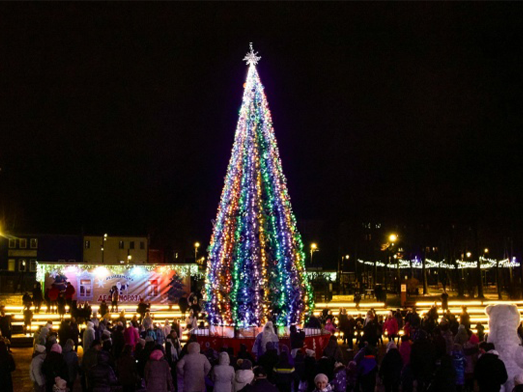 В первый день зимы в Зарайском парке зажгут праздничные огни