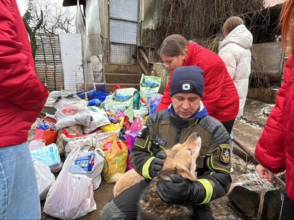 День доброты для бездомных собак: спасатели, лицеисты и студенты помогли приюту в Редкине