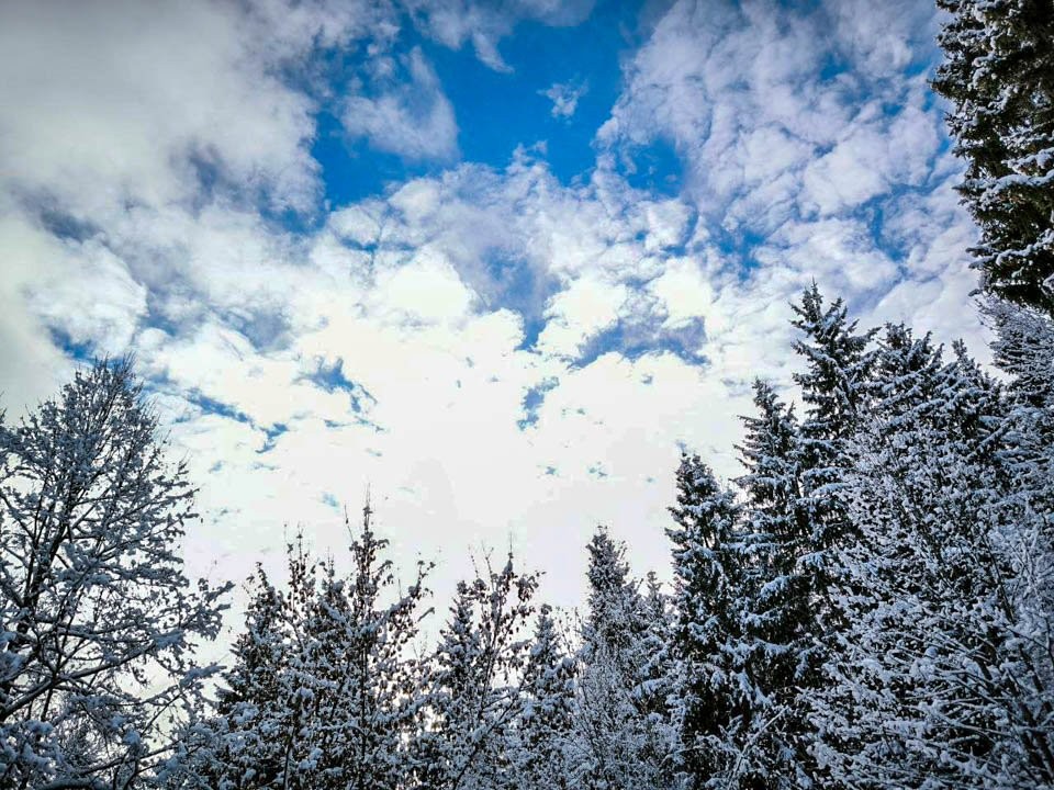 Зима пришла! Подмосковье засыплет снегом, морозы усилятся до –15°C