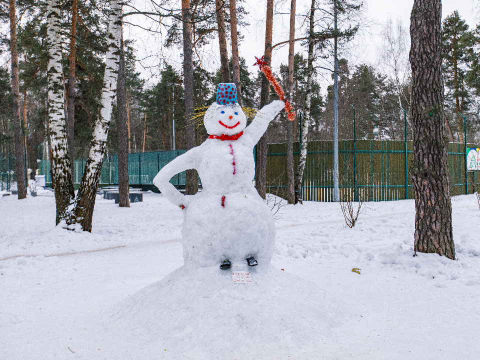 Дама в шляпе, парень из барбершопа и другие: каких снеговиков слепили во Фрязине