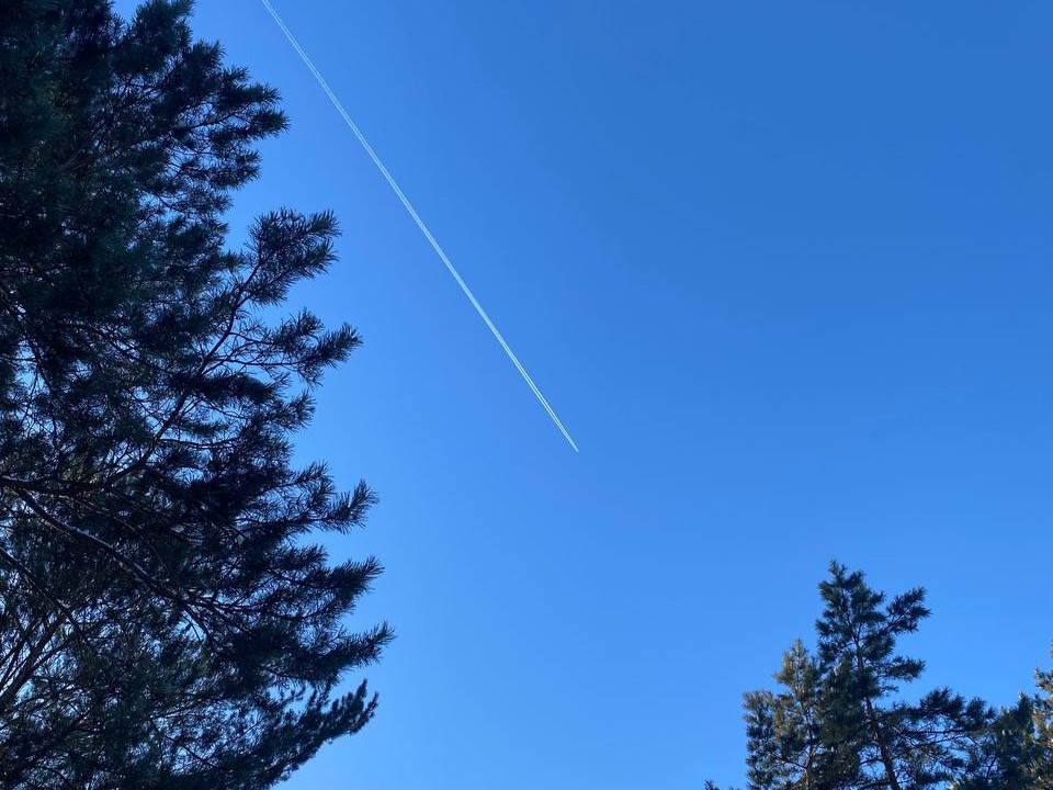 Летать в 2026 году будет дешевле: как сэкономить на авиабилетах с господдержкой