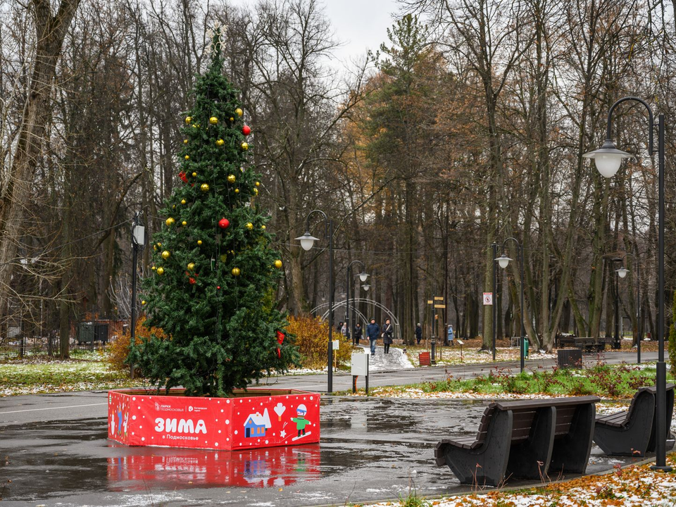 Зиме конец? синоптики рассказали, как изменится погода в Подмосковье с 16 декабря