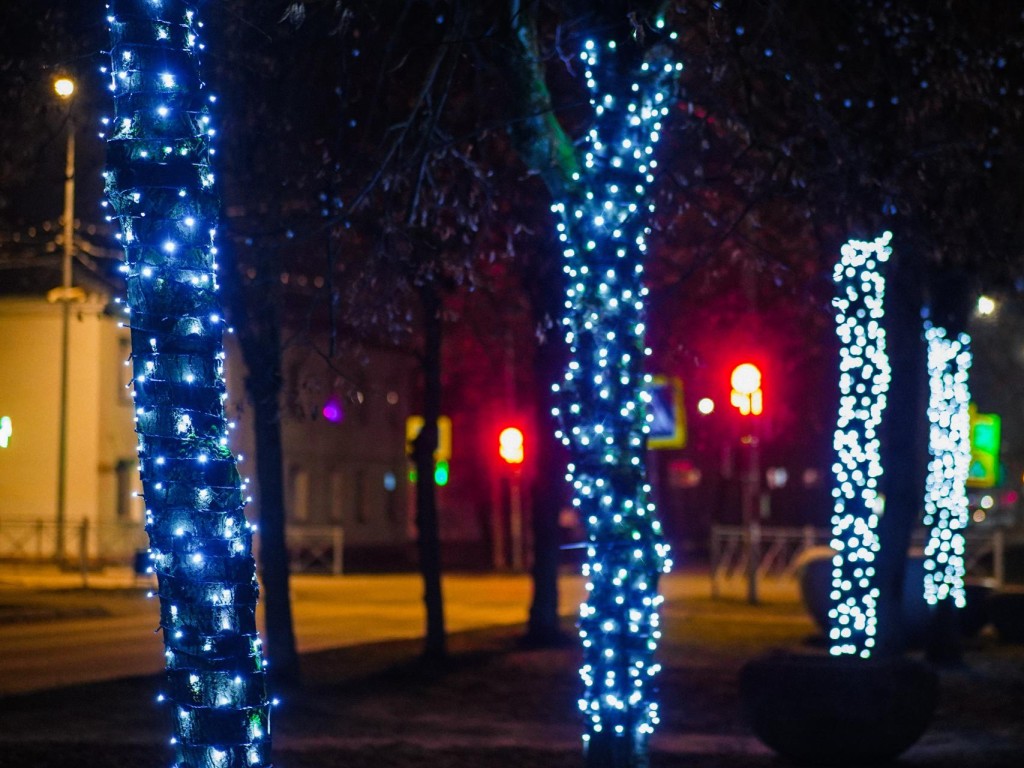В Рошале и Шатуре появятся «Серебряные звезды» и «Золотое перо»