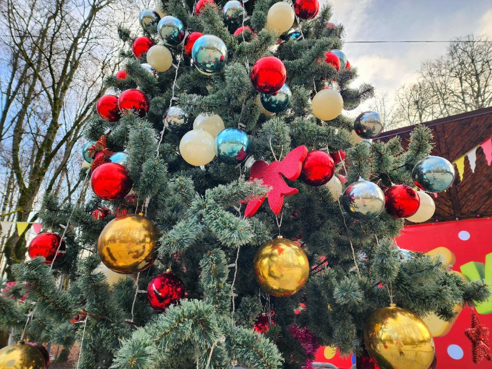 Как Солнечногорск встретит Новый год: 260 мероприятий, лыжные трассы и 22 катка