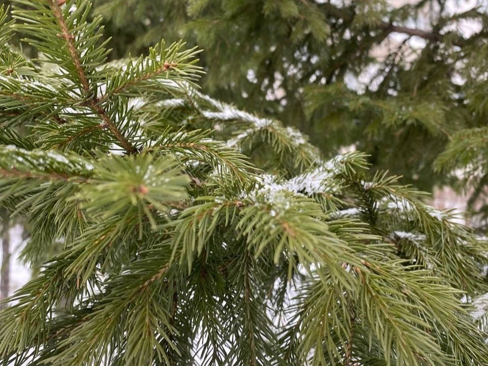 Когда в Лыткарине будет снег: прогноз метеоролога