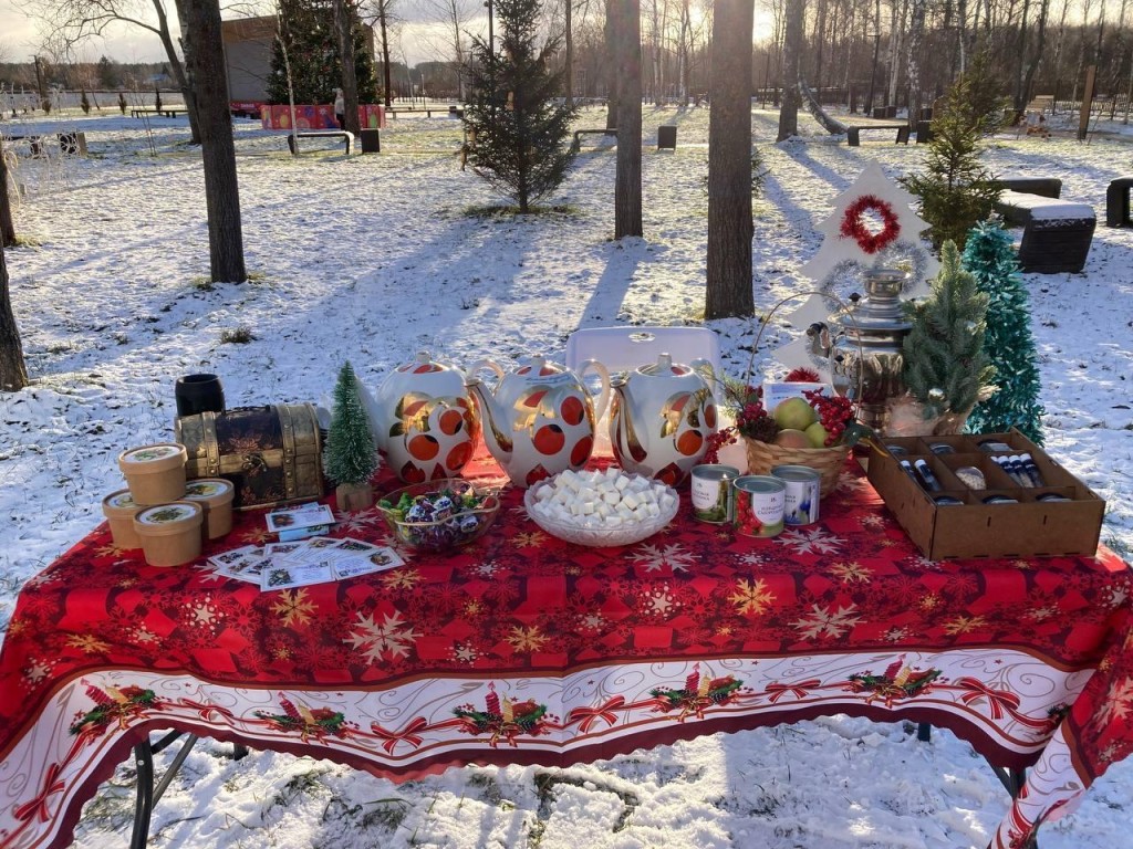 Снежные тайны: Запрудня погрузилась в волшебство на празднике «Парки. Сказки. Торжество»