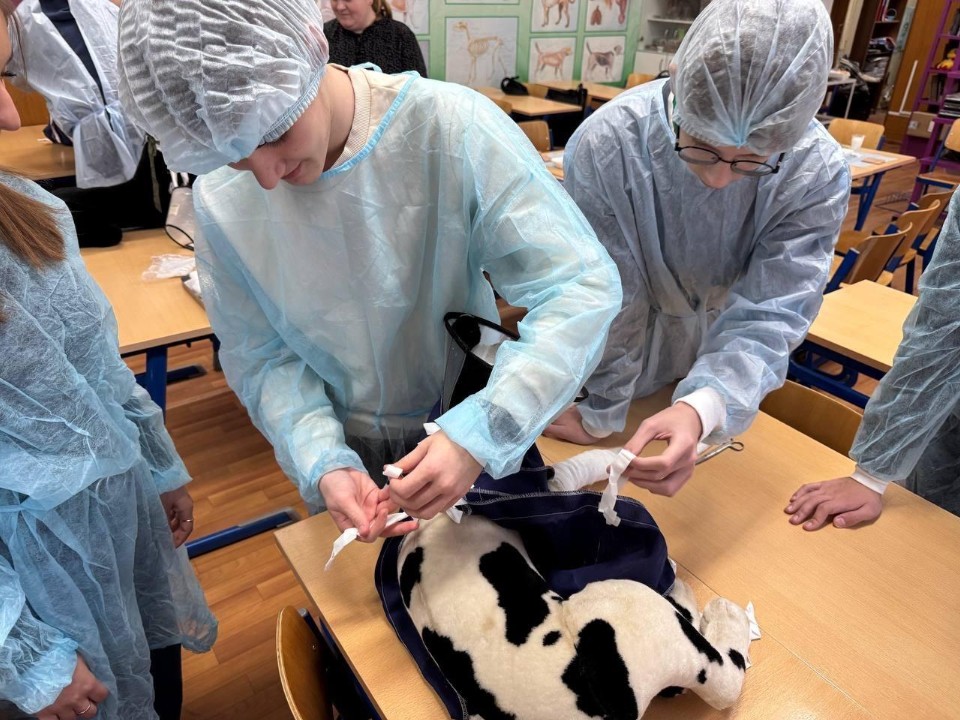 Наложение швов и фиксация животных: школьники в Электростали осваивали ветеринарию