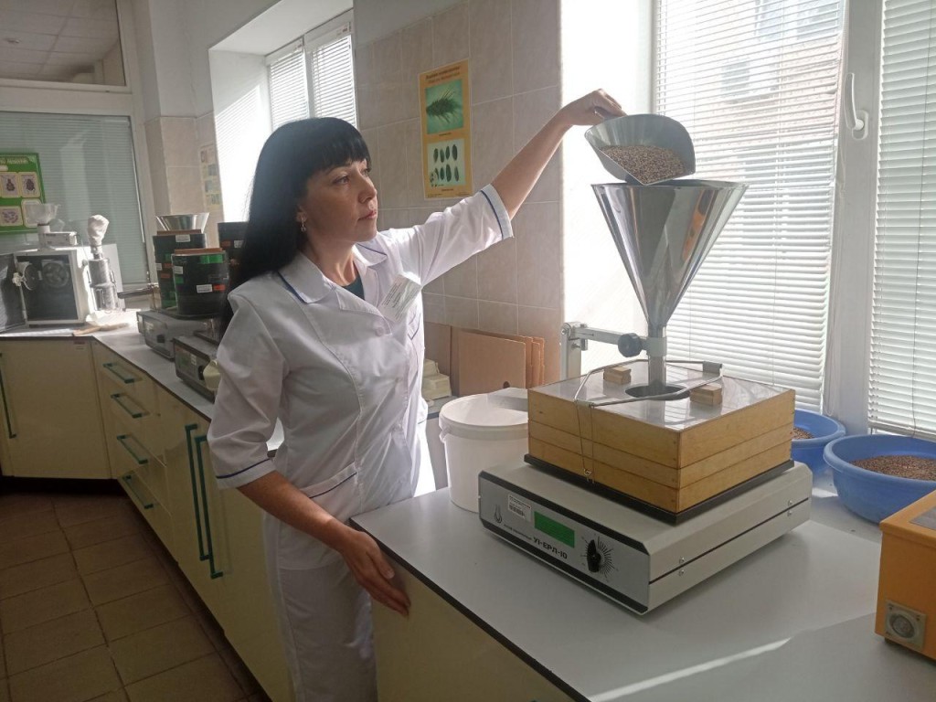 Рациональное зерно: что показали проверки собранного в Подмосковье урожая