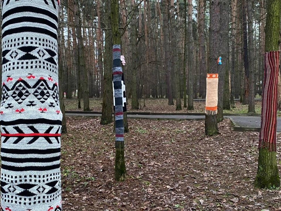 В трендовых нарядах теперь деревья из парка «Елочки» в Домодедове