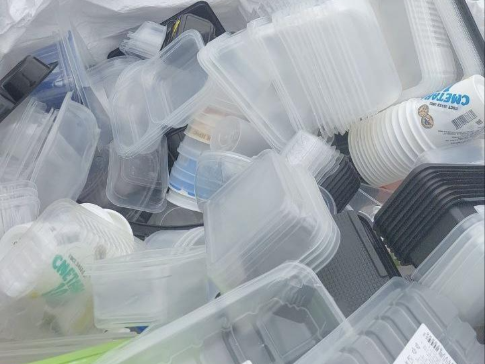 Пенопласт, пленка и стаканчики: экоакция в Наташинском парке пройдет 20 декабря