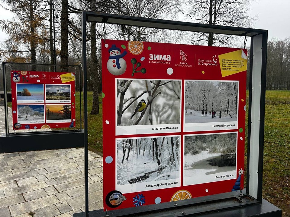 Не просто сугробы: в ступинском парке поселилась поэзия в кадрах