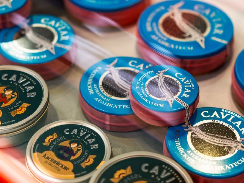 Икорный бум: где и за сколько жители Московского региона покупают черную икру