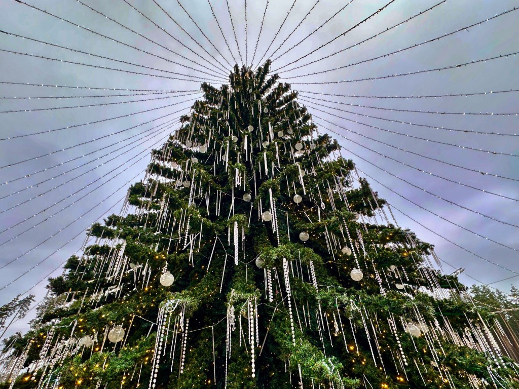 Яркое воскресенье в Одинцове: бег, йога, мастер‑классы и веселые гости в парках