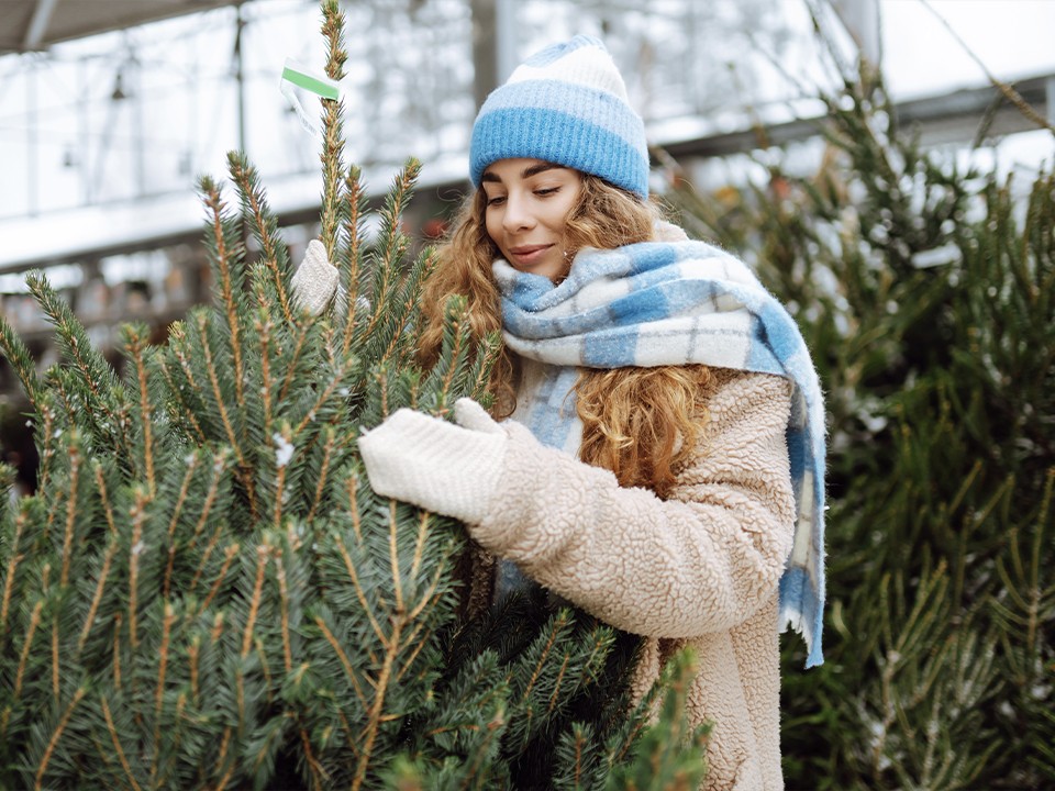 Аромат хвои или удобство на 10 лет: какую елку выбрать и не пожалеть