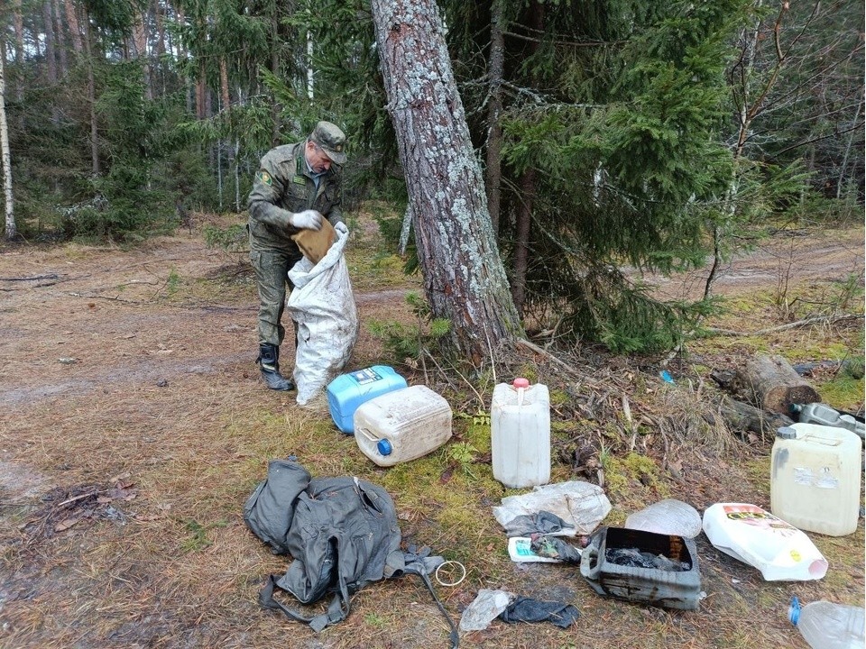 В лесах Орехово-Зуева убрано более 35 кубометров мусора